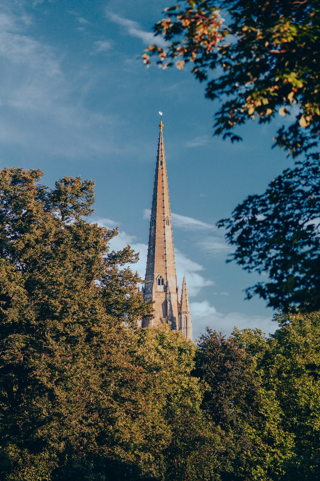 Norwich City Cathedral